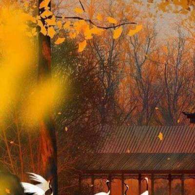 战神天使手游(暂未上线)v1.1.0 安卓版